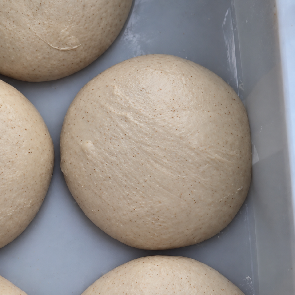 Pâte à pizza au levain